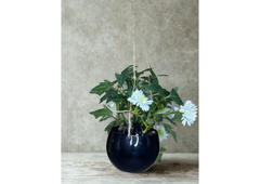 Daisy Bloom Hanging Planter