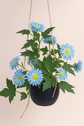 Daisy Bloom Hanging Planter Blue