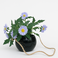 Daisy Bloom Hanging Planter Purple