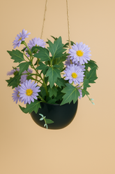Daisy Bloom Hanging Planter Purple