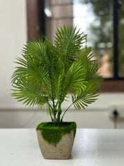Tropical Breeze Faux Palm in Moss-Topped Cement Planter