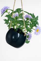 Daisy Bloom Hanging Planter Purple