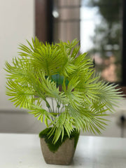 Tropical Breeze Faux Palm in Moss-Base Cement Planter