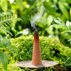 Prabhu Special Dhoop Cones (1 Jar / 80 Grams)