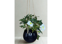 Daisy Bloom Hanging Planter