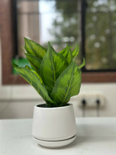 Verdant Glow Faux Plant in White Ceramic Planter