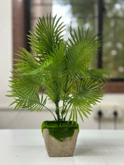 Tropical Breeze Faux Palm in Moss-Topped Cement Planter