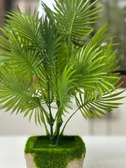 Tropical Breeze Faux Palm in Moss-Topped Cement Planter