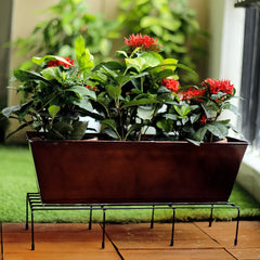 Metal Rectangle Flower Plant Stand For Balcony (6020 Cm 2 Pc Set)
