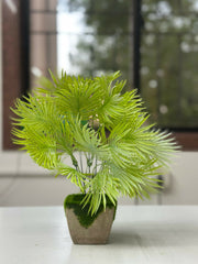 Tropical Breeze Faux Palm in Moss-Base Cement Planter