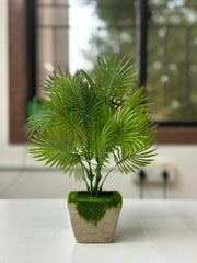 Tropical Breeze Faux Palm in Moss-Topped Cement Planter