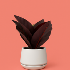 Crimson Vein Faux Plant in Ceramic Pot