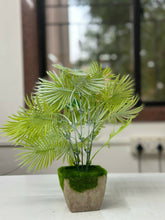 Tropical Breeze Faux Palm in Moss-Base Cement Planter