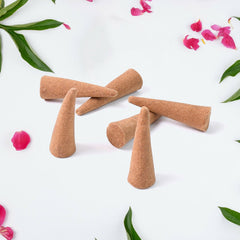 Special Gold Bella Dhoop Cones (1 Jar / 80 Grams)