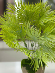 Tropical Breeze Faux Palm in Moss-Base Cement Planter