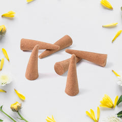 Prabhu Special Dhoop Cones (1 Jar / 80 Grams)