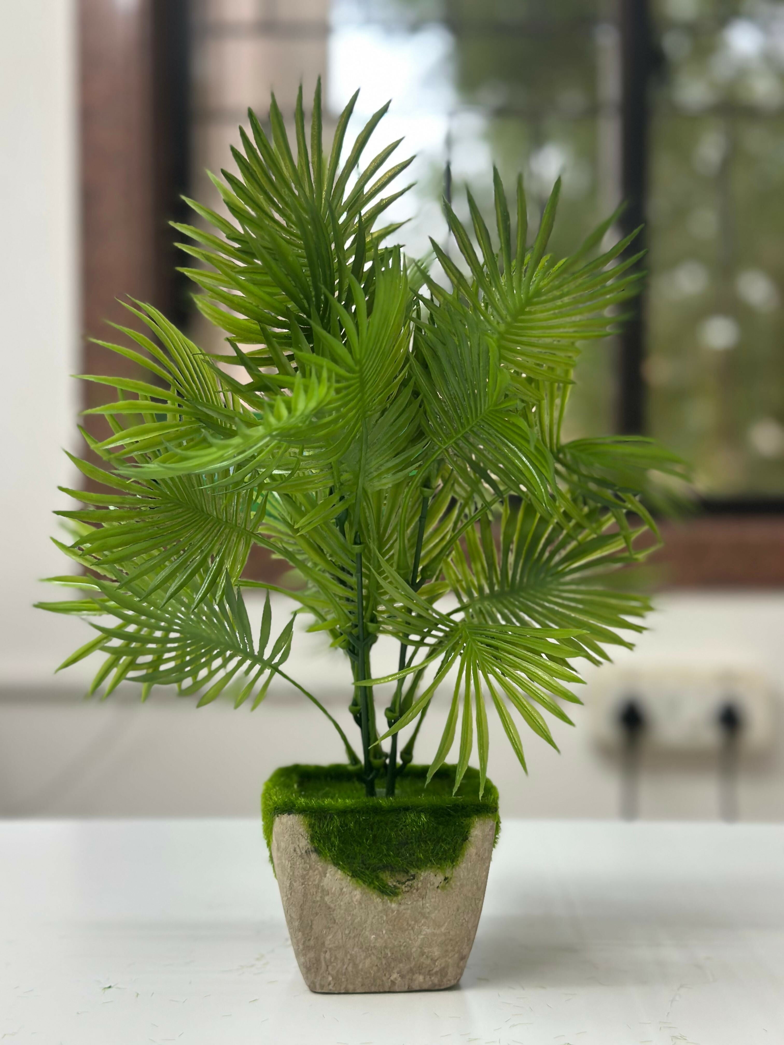 Tropical Breeze Faux Palm in Moss-Topped Cement Planter