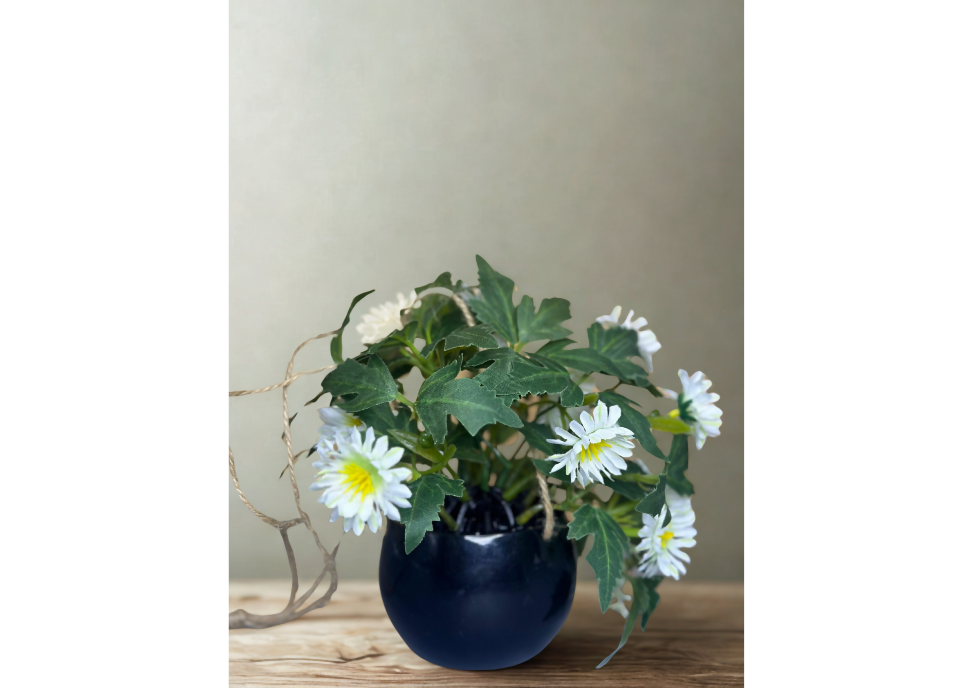 Daisy Bloom Hanging Planter